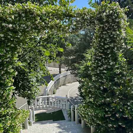 Restaurant Real Locanda Bajram Curri